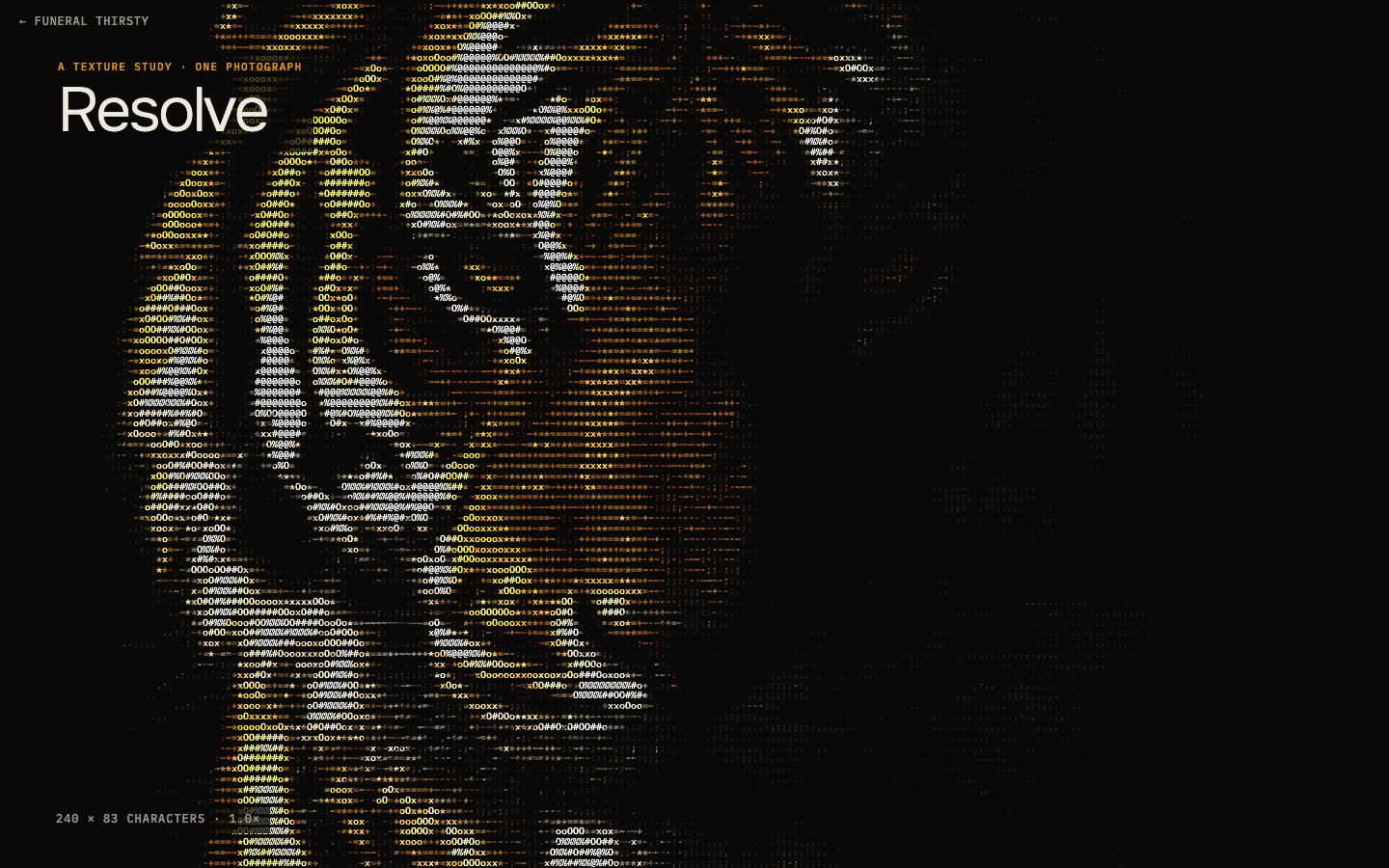 Resolve: a tiger's face set in hundreds of columns of characters in the photograph's muted colours on black, one scroll away from becoming the photograph