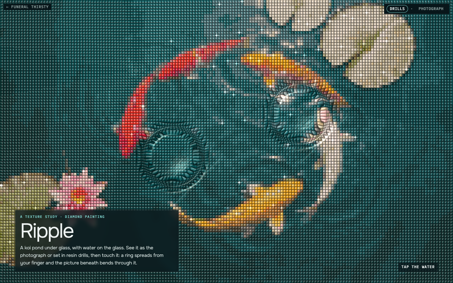 Ripple: koi in scarlet and gold under teal water set in drills, two rings spreading across the surface where it was touched